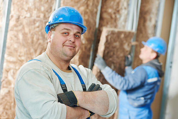Best Cellulose Insulation in Shinnston, WV